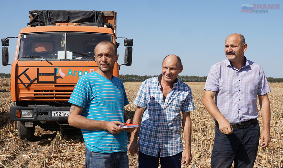 Трудную кукурузу на полях Тимашевского района убирают «Нюшами» (Кубанский филиал)